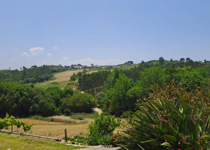 Quinta Da Fonte - Casa Da Charrete Ferienhaus *